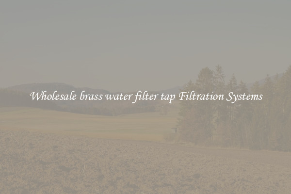 Wholesale brass water filter tap Filtration Systems