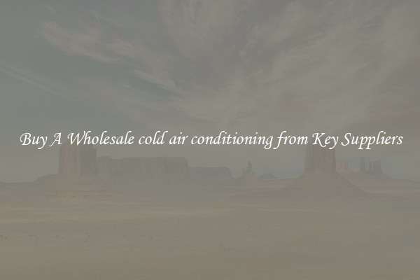 Buy A Wholesale cold air conditioning from Key Suppliers