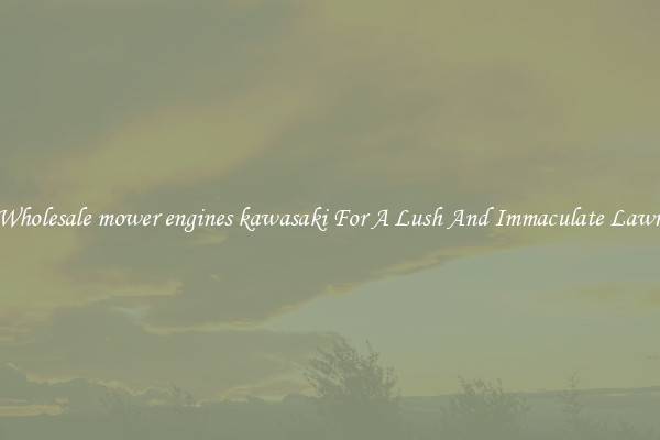 Wholesale mower engines kawasaki For A Lush And Immaculate Lawn