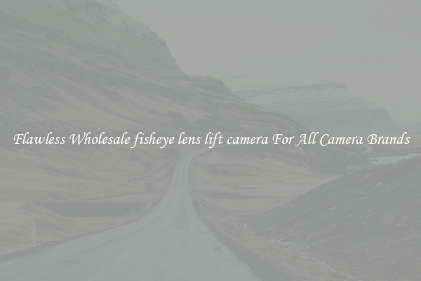 Flawless Wholesale fisheye lens lift camera For All Camera Brands
