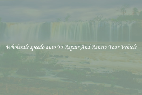 Wholesale speedo auto To Repair And Renew Your Vehicle