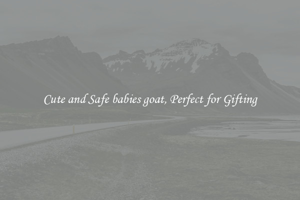 Cute and Safe babies goat, Perfect for Gifting