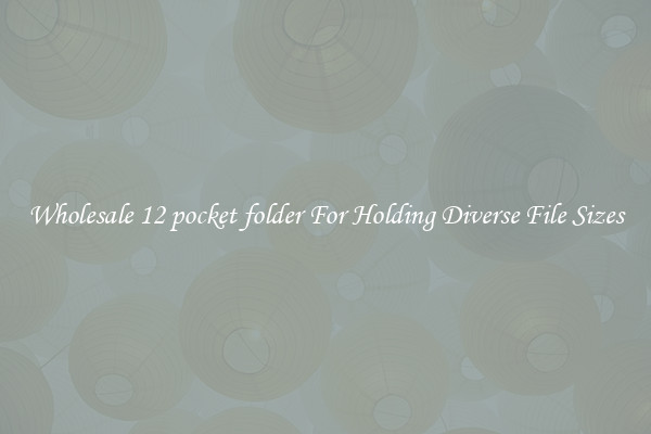 Wholesale 12 pocket folder For Holding Diverse File Sizes