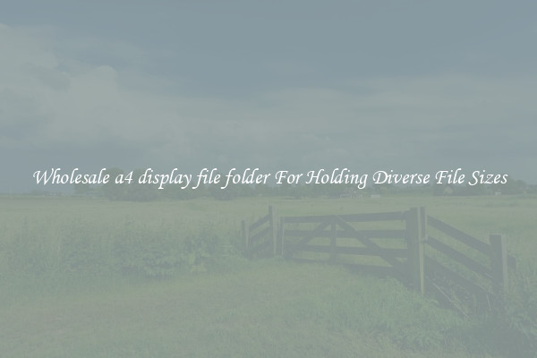 Wholesale a4 display file folder For Holding Diverse File Sizes