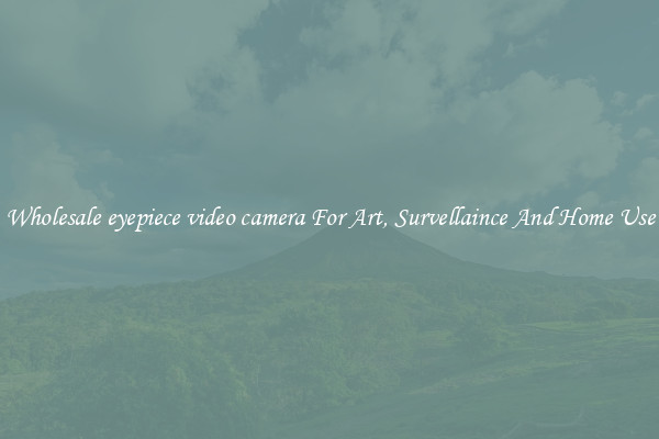 Wholesale eyepiece video camera For Art, Survellaince And Home Use