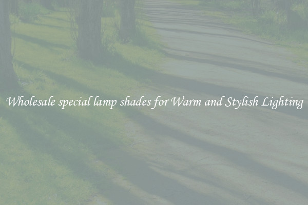 Wholesale special lamp shades for Warm and Stylish Lighting