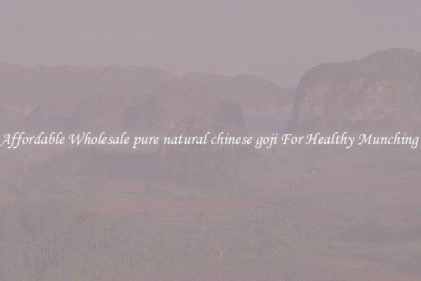 Affordable Wholesale pure natural chinese goji For Healthy Munching 