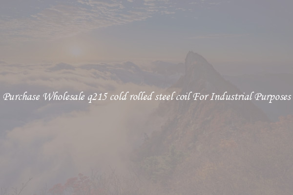 Purchase Wholesale q215 cold rolled steel coil For Industrial Purposes