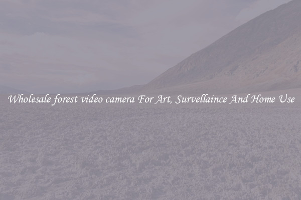 Wholesale forest video camera For Art, Survellaince And Home Use