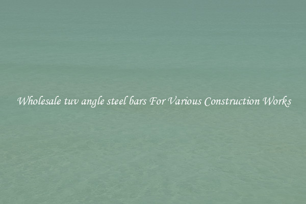 Wholesale tuv angle steel bars For Various Construction Works