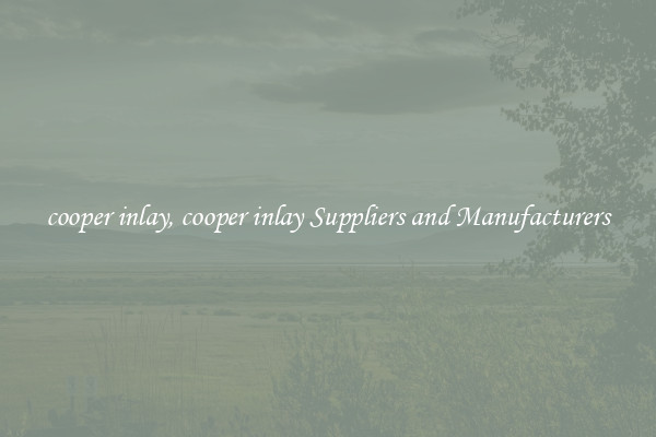 cooper inlay, cooper inlay Suppliers and Manufacturers