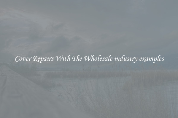  Cover Repairs With The Wholesale industry examples 