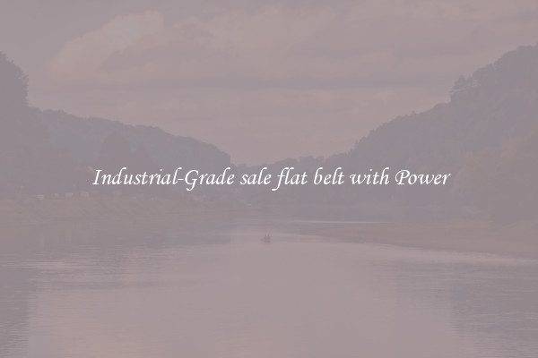 Industrial-Grade sale flat belt with Power