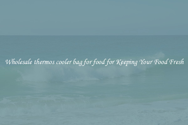 Wholesale thermos cooler bag for food for Keeping Your Food Fresh