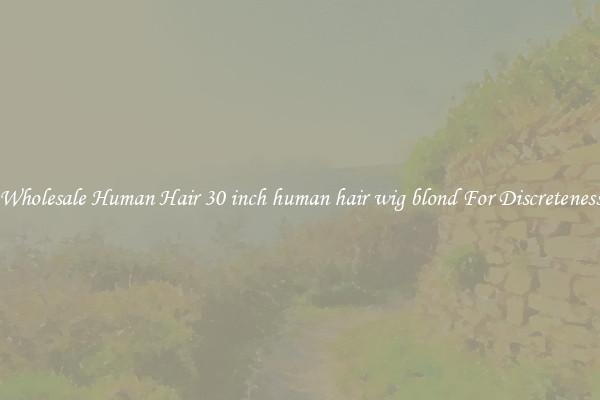 Wholesale Human Hair 30 inch human hair wig blond For Discreteness