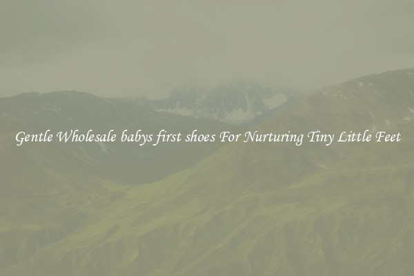Gentle Wholesale babys first shoes For Nurturing Tiny Little Feet