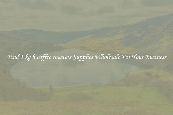 Find 1 kg h coffee roasters Supplies Wholesale For Your Business