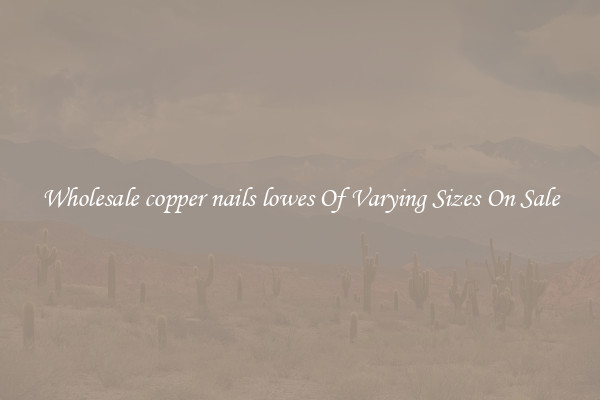 Wholesale copper nails lowes Of Varying Sizes On Sale