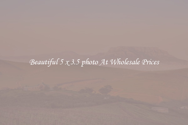 Beautiful 5 x 3.5 photo At Wholesale Prices